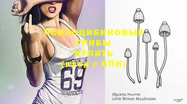 альфа пвп Лабытнанги