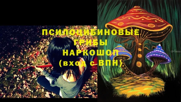 jwh Ладушкин